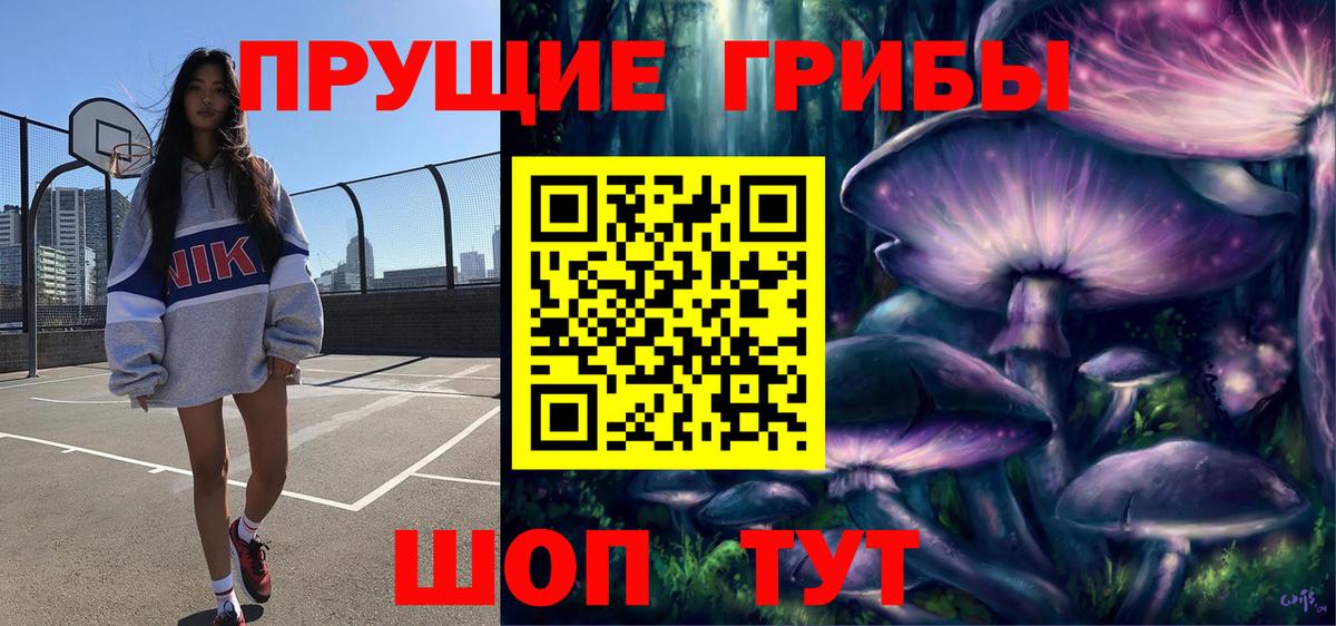Ростов Великий  Псилоцибиновые грибы прущие грибы  Вход с VPN 